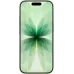 Смартфон Apple iPhone 17 256GB eSIM Sage (MG4A4)