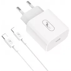 Мережевий зарядний пристрій SkyDolphin SC38T 12W + Type-C White